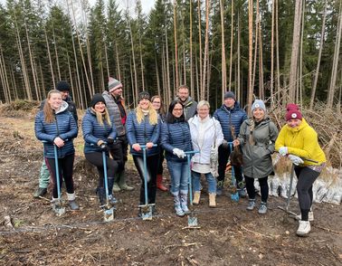 Planting trees CZ